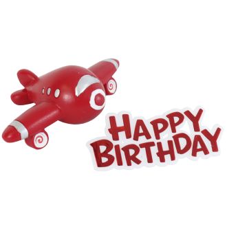 Airplane Resin Topper & Happy Birthday Motto