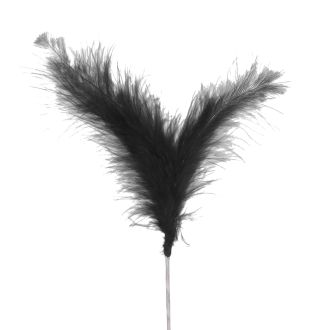 Black Three Feather Spray