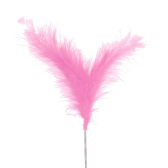 Pink Three Feather Spray