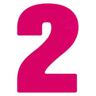 Pink Acrylic Template For Number Cakes - 2