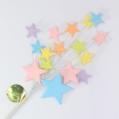 Pastel Multi Coloured Star Spray